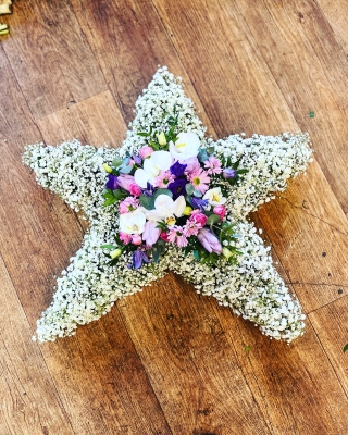 Gypsophilia Star