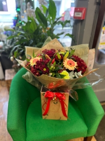 Christmas collection 2025