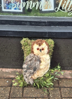 Owl
