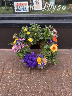 Planted Eco wreath