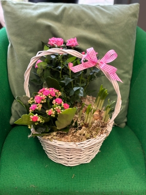 Pretty planted basket