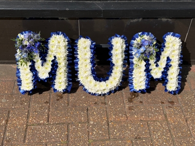 Royal blue and white MUM