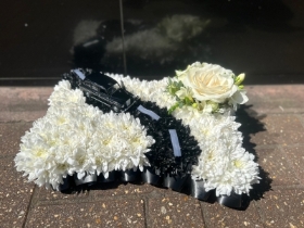 Black cab pillow