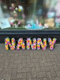 Multicoloured Nanny