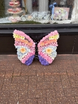 Pastel butterfly