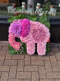 Pink elephant