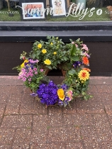 Planted Eco wreath