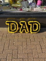 Star Wars themed Dad