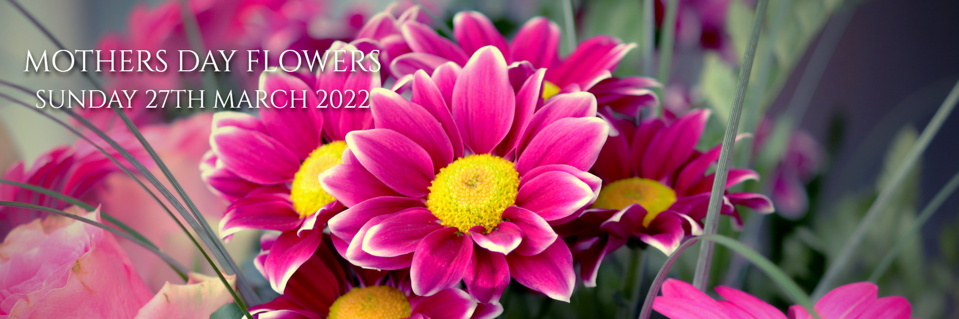 Summer Lilly's Flowers Florist in Newport Isle of Wight Flower Delivery.